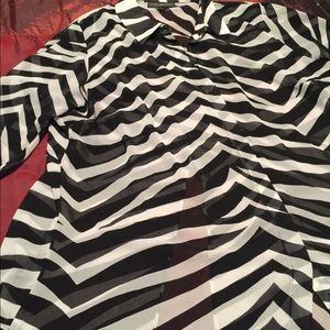 Zebra sheer high low button down shirt.